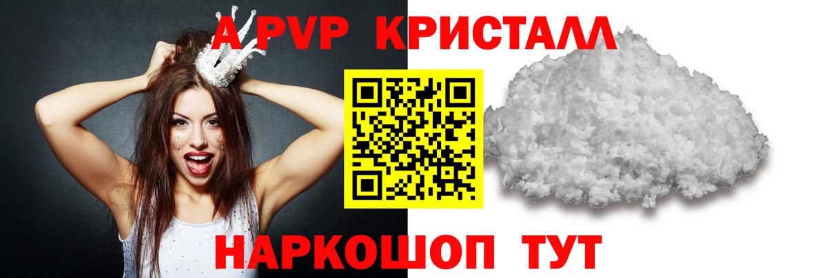 A PVP СК Советская Гавань