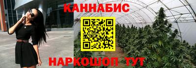 apvp Обь