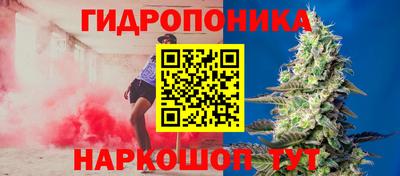 apvp Обь