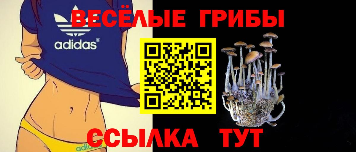 Галлюциногенные грибы ЛСД  Вход с VPN  Советская Гавань  Псилоцибиновые грибы MAGIC MUSHROOMS 